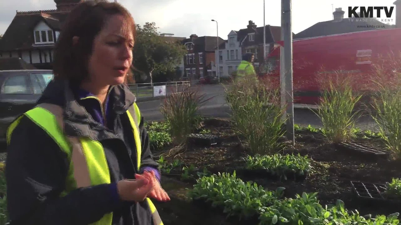 BIG PLANTING FOLKESTONE