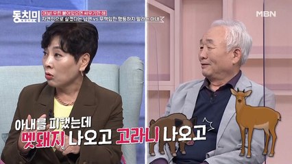 배우 전성애, 남편이 자연인이 되겠다 선언한다면? "아무것도 할 줄 몰라서 그럴 리가 없어요 ^^"