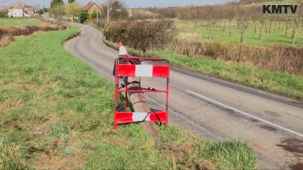 Woman dies in country road crash