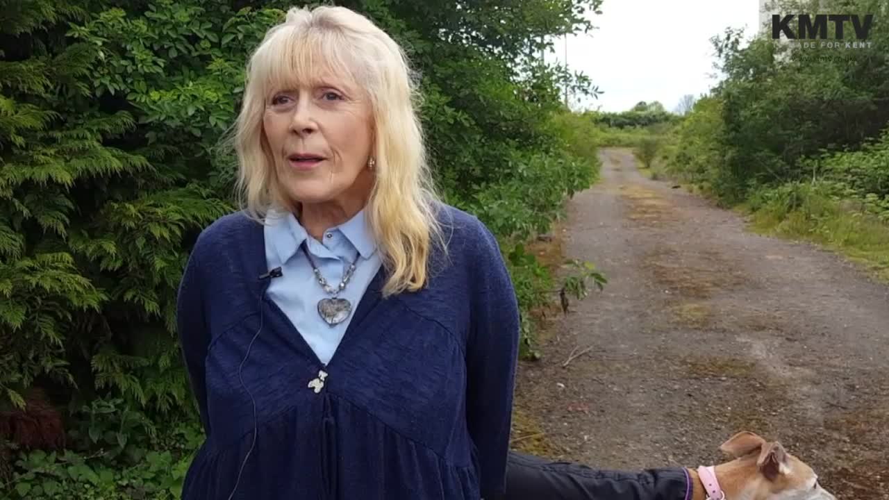 Mystery gravestone found