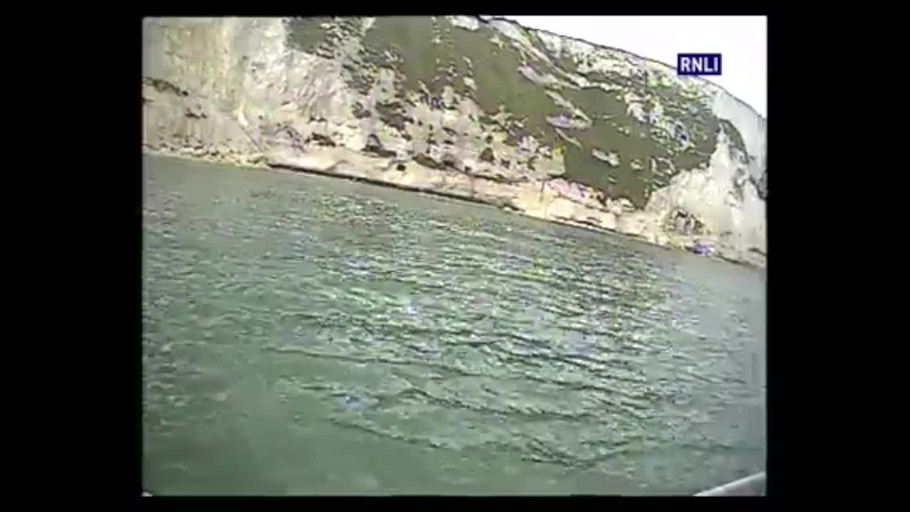 DOG RESCUE.mov