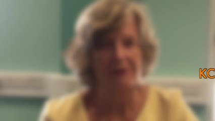 Liberal Democrats Manifesto