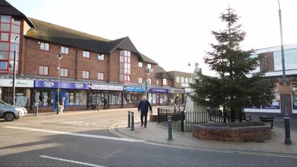 Dove spotting nesting in a Christmas Tree