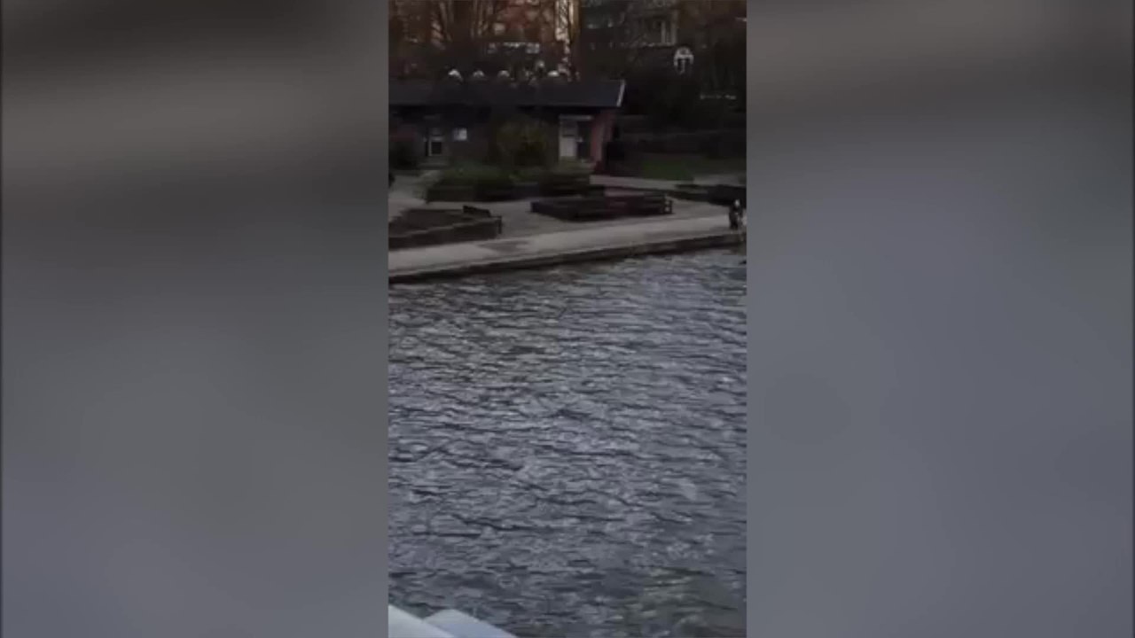 Man rescued from River Medway