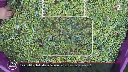 Gastronomie : à la découverte des olives fruitées des Alpes-de-Haute-Provence