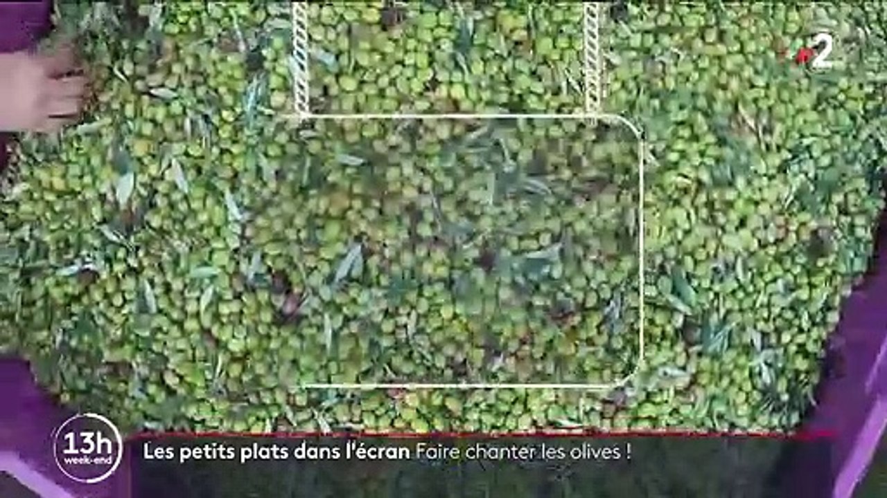 Gastronomie : à la découverte des olives fruitées des Alpes-de-Haute-Provence