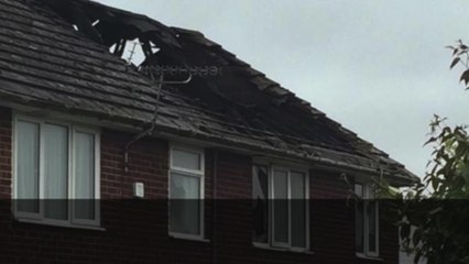 Dog dies and man hurt as fire rips through home