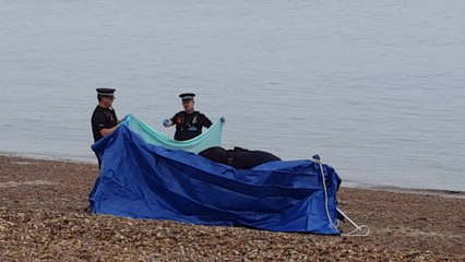 Herne Bay: Body found on beach was man in his 80s