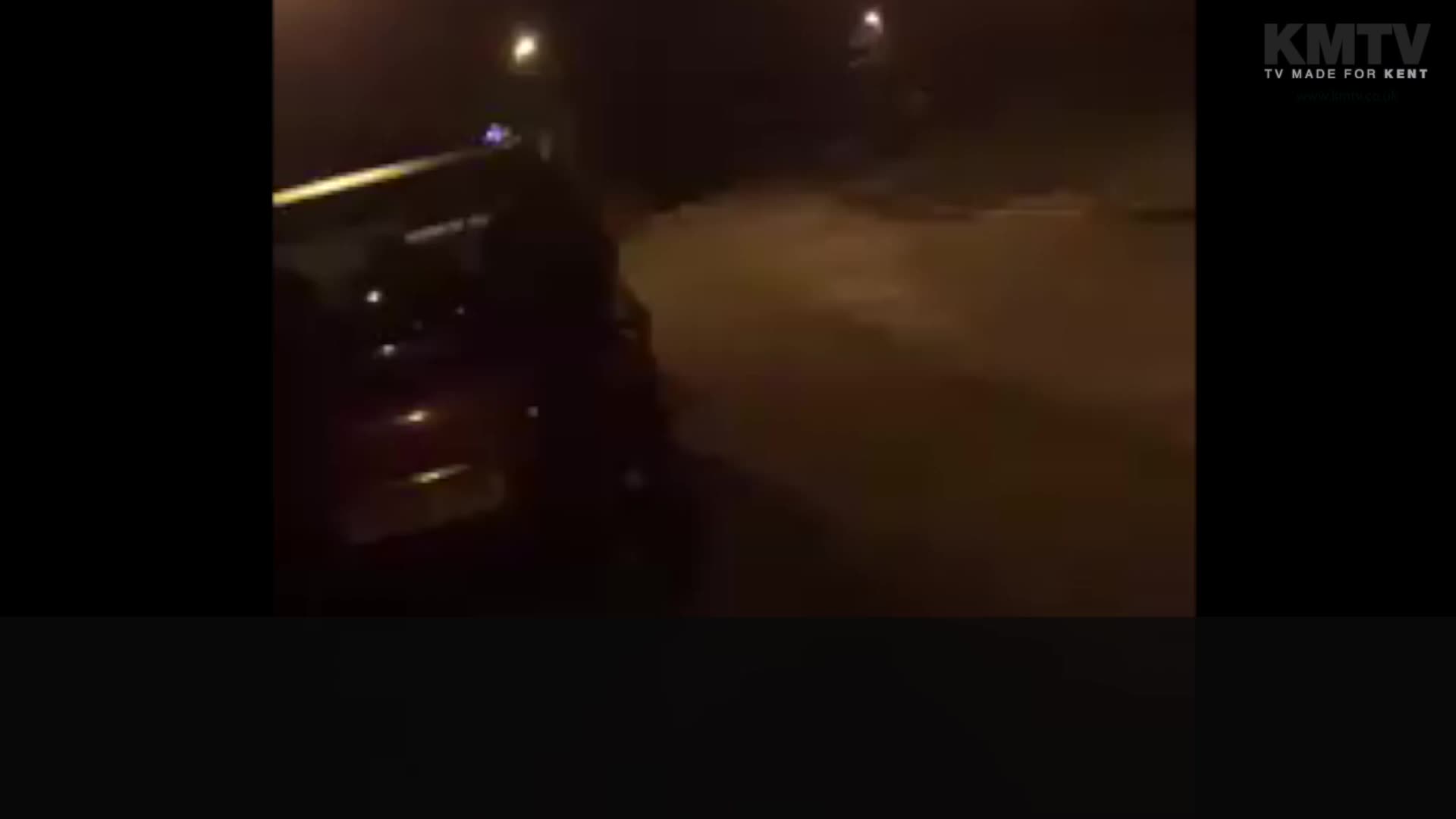 Bird call video could be the key to finding stolen Macaws