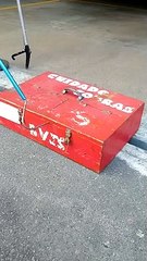 Cobra encontrada em Jaraguá do Sul