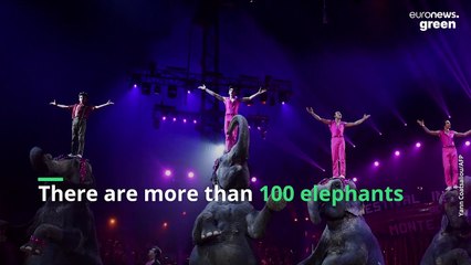 France opens Europe's first retirement home for elephants