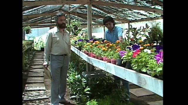 Las Dos Caras del Amor - Capitulo 52