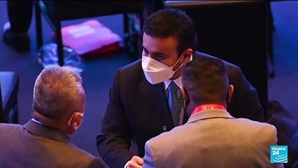 Présidence d'Interpol : le général émirati Al-Raisi, accusé de torture, a été élu