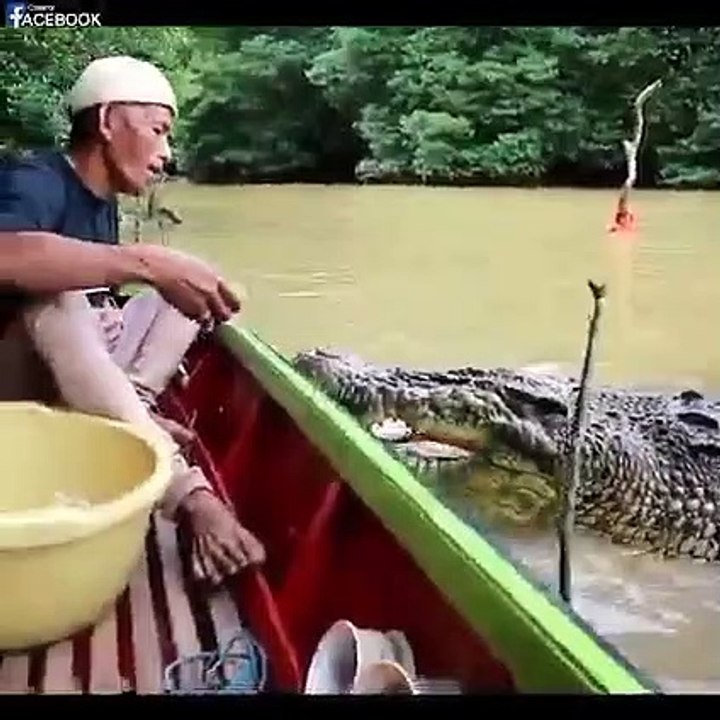 Berteman dengan buaya