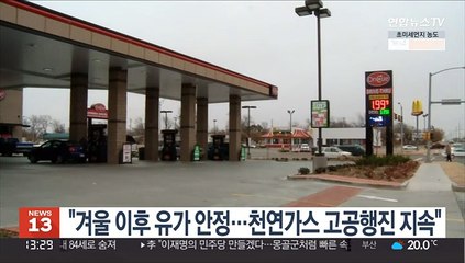 "겨울 이후 유가 안정…천연가스 고공행진 지속"