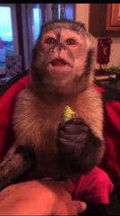 makes you schrong!!! Happy Tuesday!