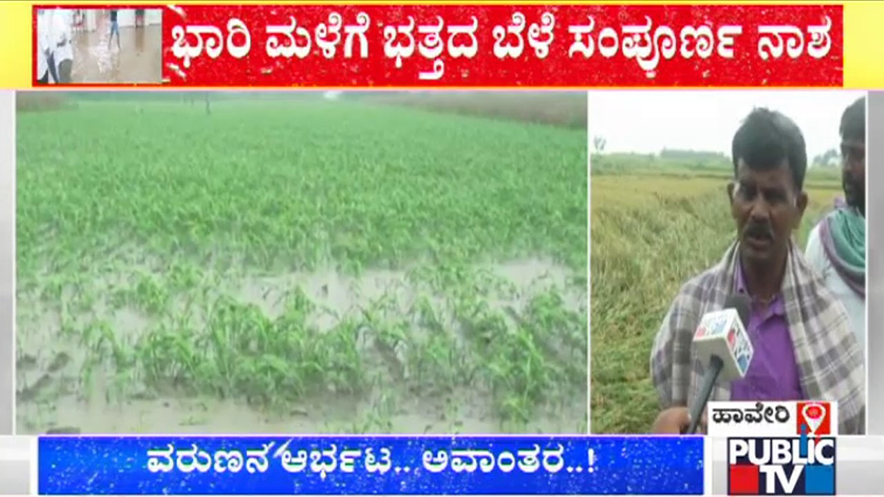Haveri: ರಣಮಳೆಗೆ ಭತ್ತದ ಬೆಳೆ ನಾಶ; ರೈತರು ಕಂಗಾಲು