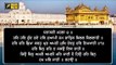 ਸ਼੍ਰੀ ਦਰਬਾਰ ਸਾਹਿਬ ਤੋਂ ਅੱਜ ਦਾ ਹੁਕਮਨਾਮਾ Daily Hukamnama Shri Harimandar Sahib, Amritsar | 20 NOV 21