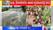 Chikkamagalur: Agricultural Crops Destroyed Due To Heavy Rain