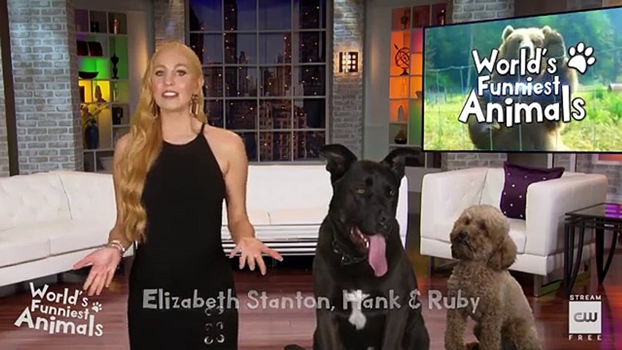 World’s Funniest Animals S02E07