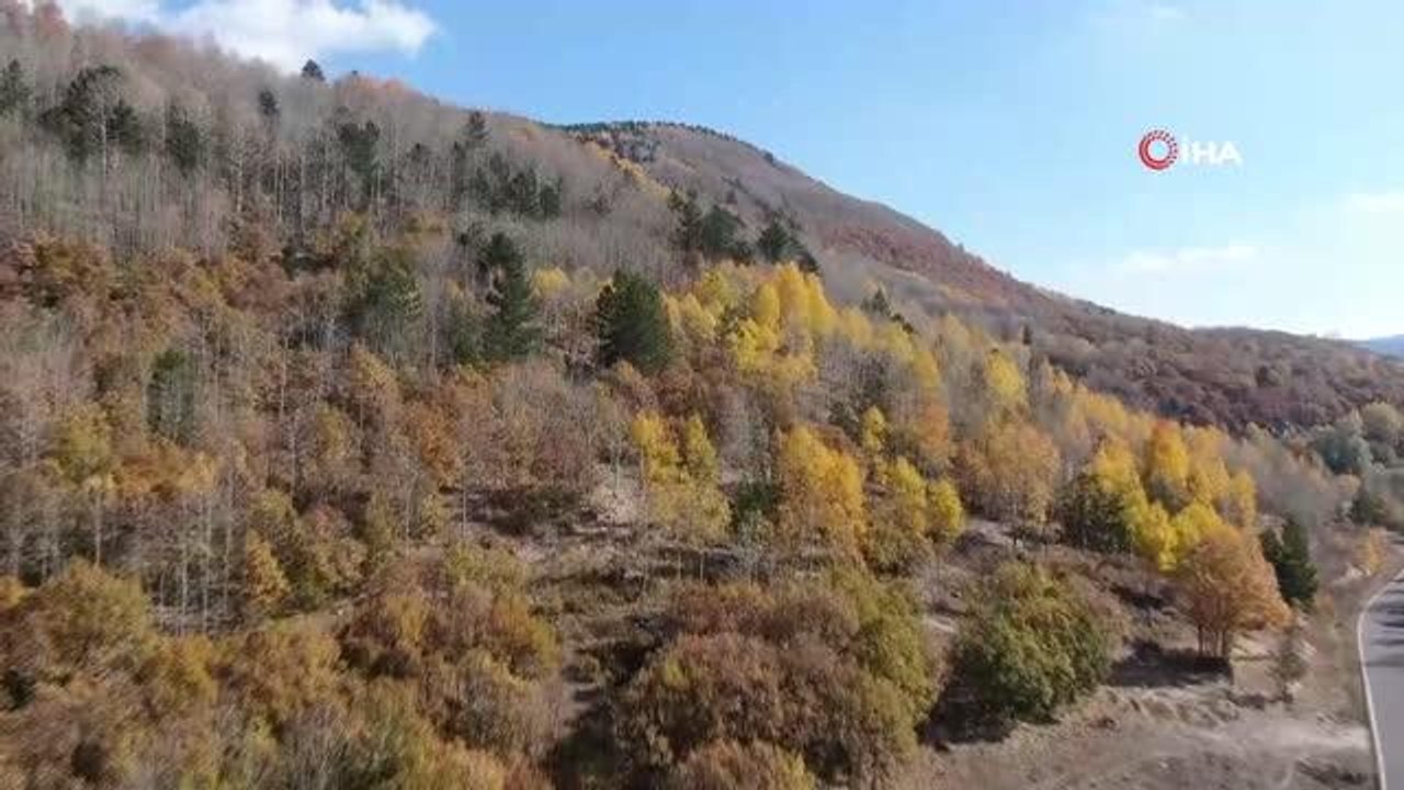 Başkent'in Işık Dağı sonbahar renklerine büründü