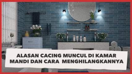 Alasan Cacing Kerap Muncul di Kamar Mandi dan Cara Mudah Menghilangkannya