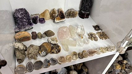 Mardinli kapıcının fosil aşkı