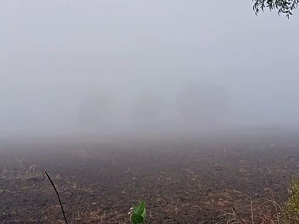 मौसम साफ हुआ तो छाया घना कोहरा, हेडलाइट जलाकर ग...