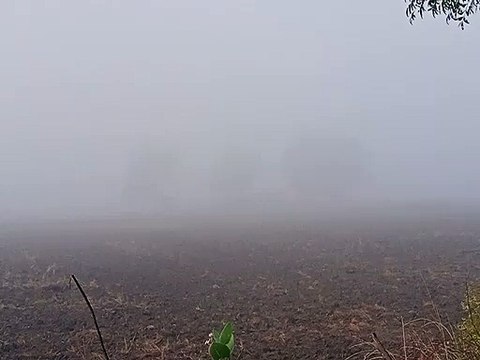 मौसम साफ हुआ तो छाया घना कोहरा, हेडलाइट जलाकर गुजरे वाहन