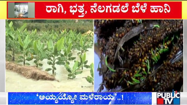 Agricultural Crops Destroyed Due To Heavy Rain In Chikkanballapur