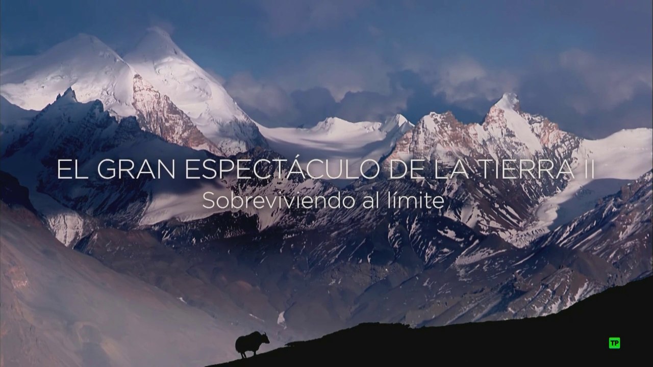 El gran espectáculo de la tierra II: 2/3 - Sobreviviendo al límite [Documental HD]