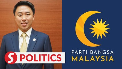 New party Parti Bangsa Malaysia formed, Larry Sng to be deputy chief