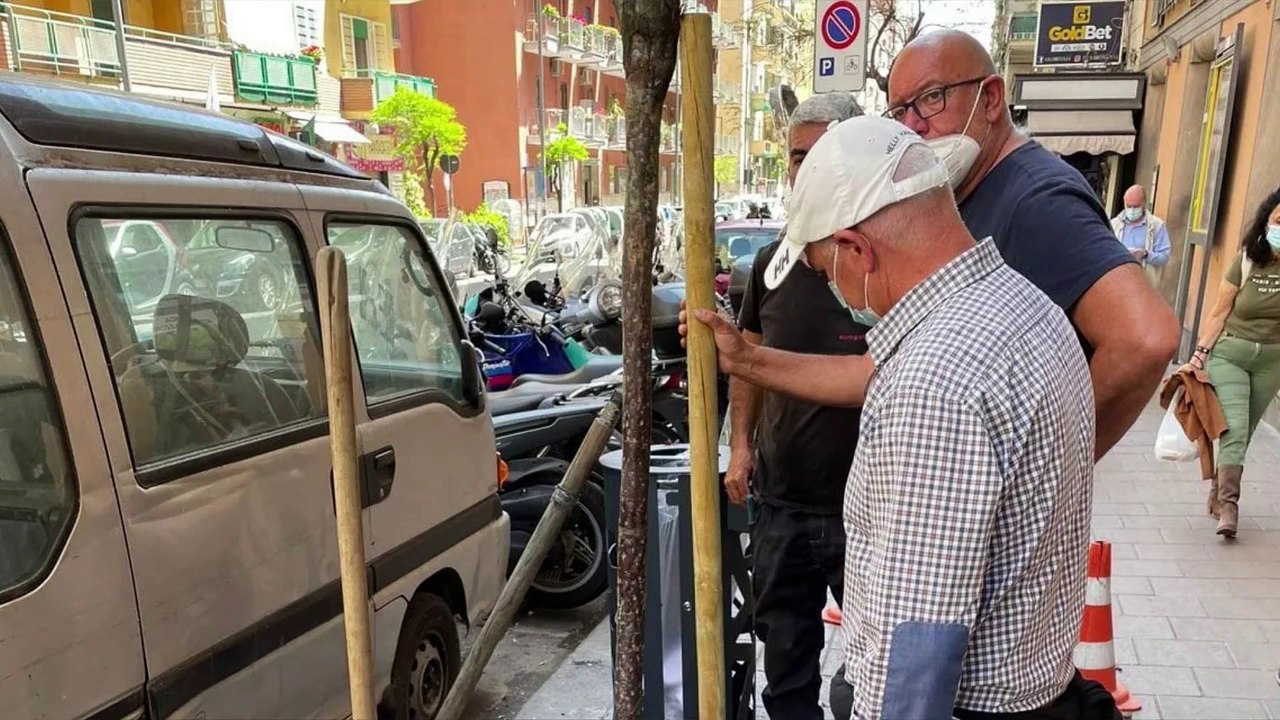 Napoli, tornano gli alberi sul Belvedere di San Martino: festa con gli studenti del Mazzini