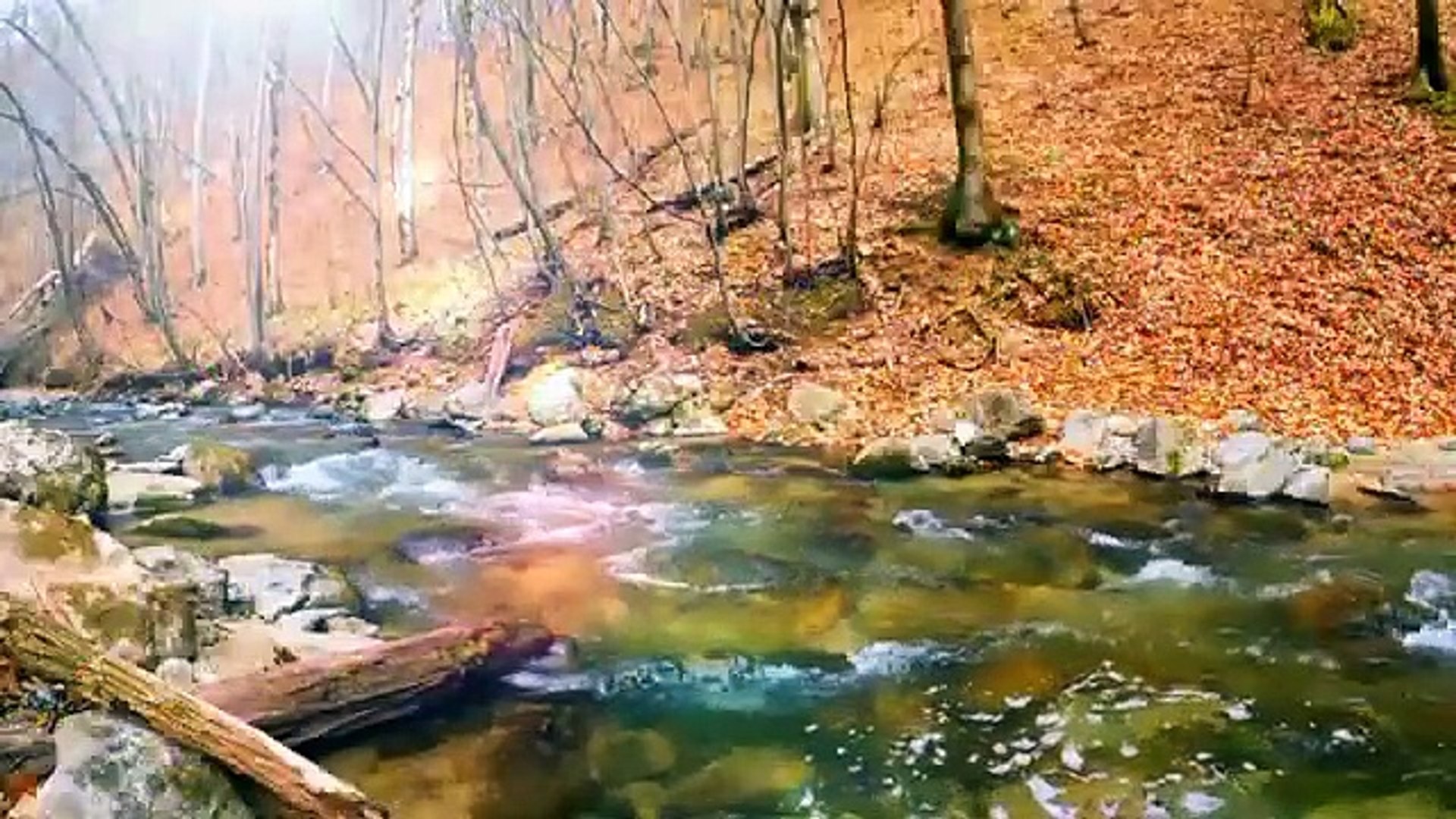 ⁣Soothing Relaxing Music Meditation Music Sleep Music Stress Relief Music