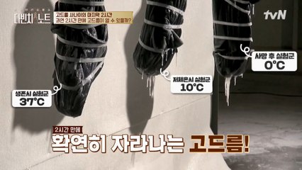 사람이 고드름처럼 얼어붙을 수 있을까? 과연 다빈치 노트에서 실험한 결과는??
