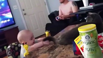 Cute Baby and Cat Videos - Cute Baby Funny Video - Funny Cats Compilations