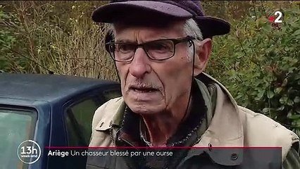 Ariège : un chasseur agressé par une ourse