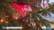 Alsace : à Obernai, le marché de Noël bat son plein
