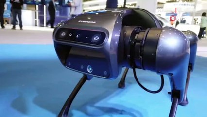 Çin yeni robot köpeği tanıttı: CyberDog