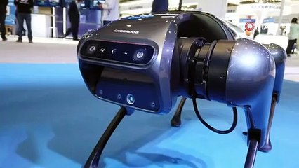 Çin’de 5G+ Endüstriyel İnternet Konferansı'nda robot köpek tanıtıldı