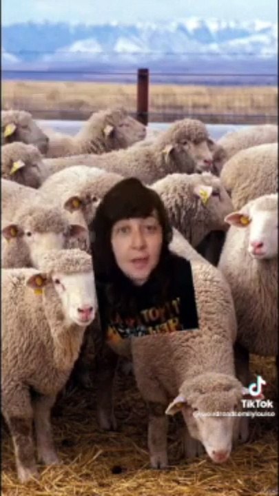 Conspiracy Theory Tik Tok 8