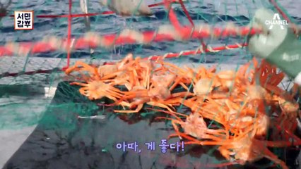 [선공개] 1년 만에 연매출 13억을 달성! 홍게로 갑부가 된 청년이 있다?