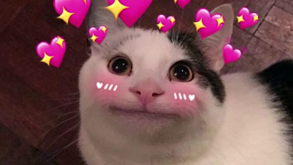 When Your WiFi Stops Working...