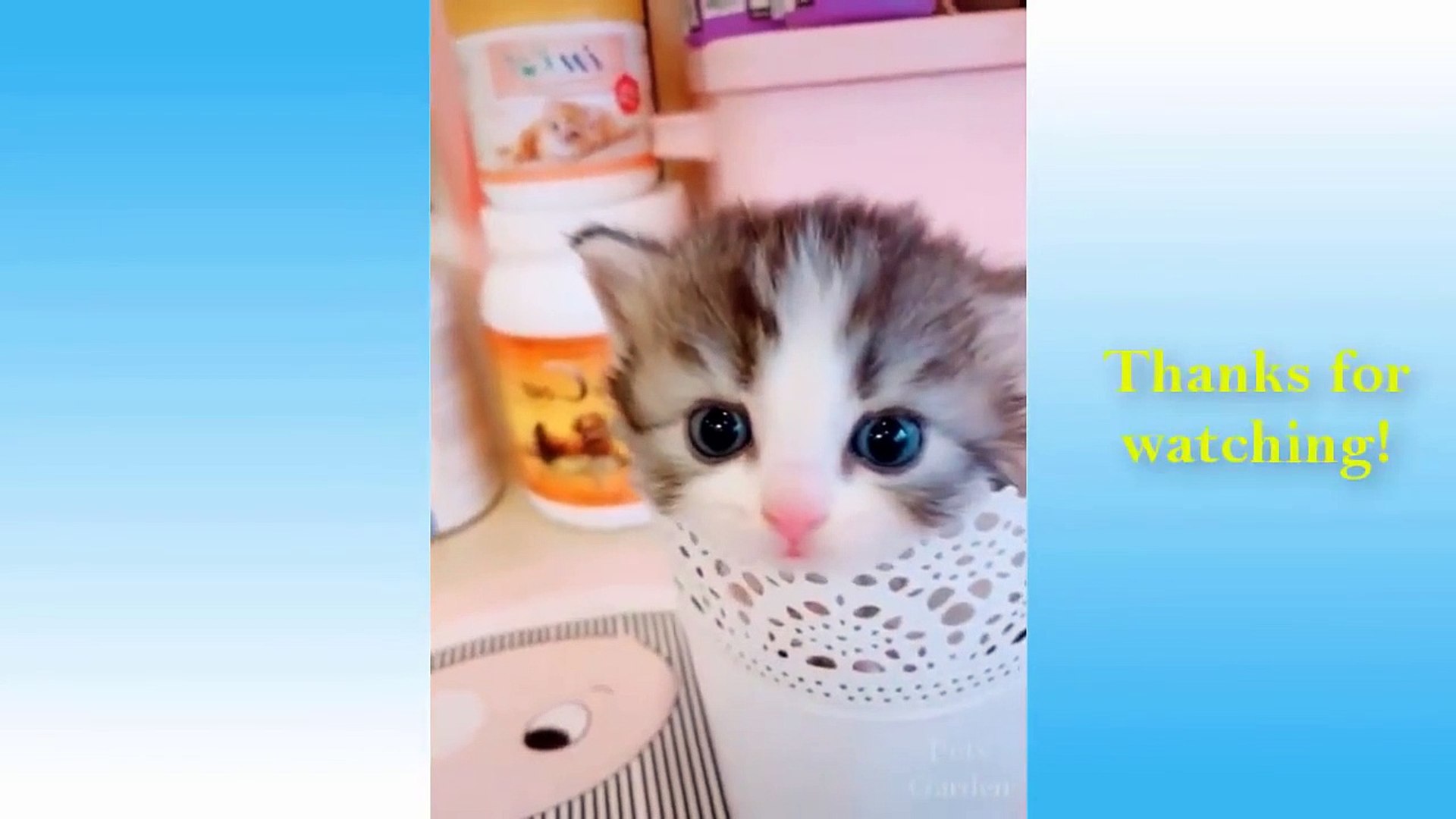 ⁣Cute Pets And Funny Animals Compilation