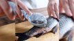 Fish skin cleaning peeling brush scraping knife techshahin24
