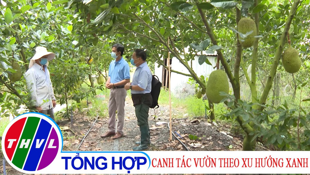Nông nghiệp xanh - Kỳ 32: Canh tác vườn theo xu hướng xanh