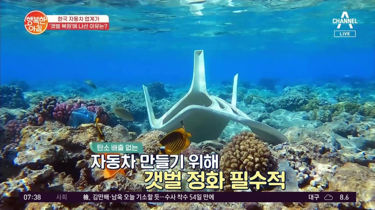 [차차차] 자동차 업계가 '갯벌 복원'에 나선 이유! ※블루 카본 프로젝트※