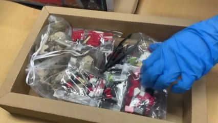 장난감 상자에 거미·전갈...절지동물 3천 마리 밀수입 일당 검거 / YTN