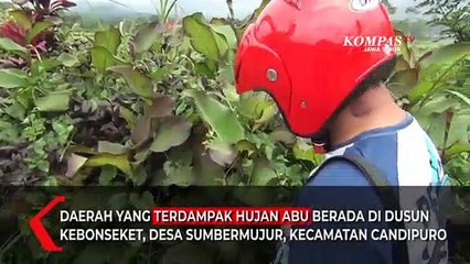 Status Waspada Gunung Semeru Keluarkan Hujan Abu