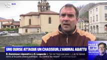 Dans les Pyrénées, un chasseur tue une ourse après avoir été blessé